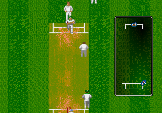 Brian Lara Cricket (March 1995) Screenthot 2